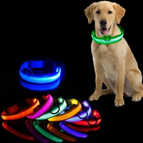 Light led dog collar - led,